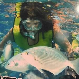 Meet your Posher, Mickey